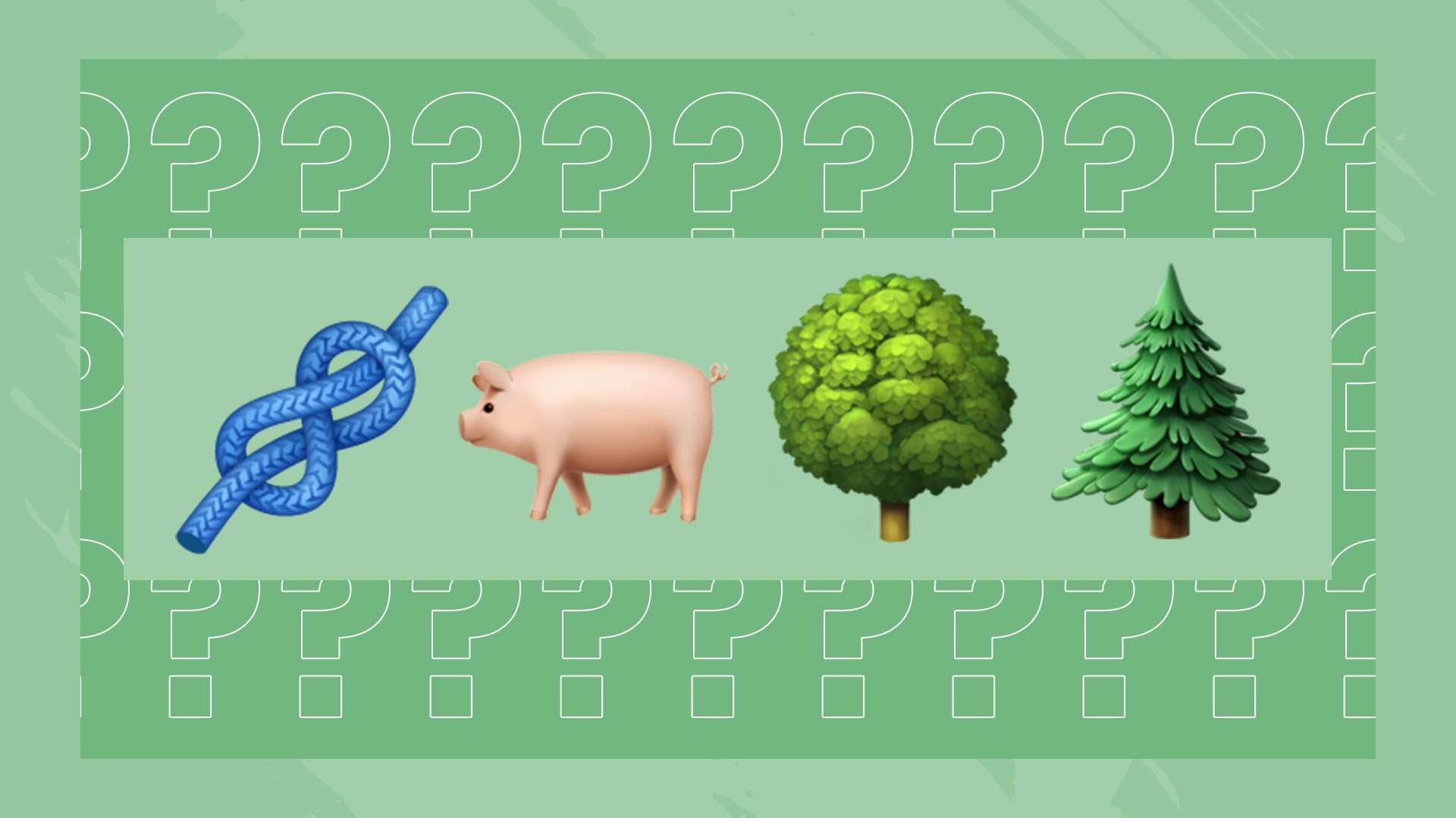 官方网站 官方网站